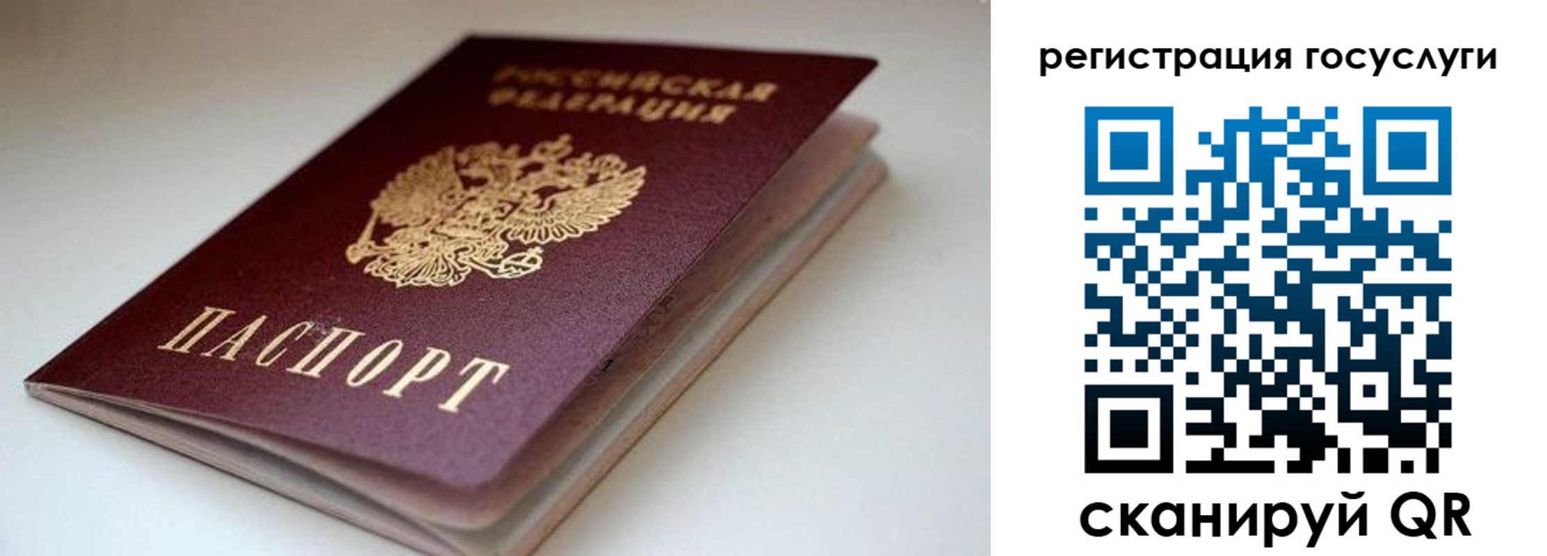 форма 3 в Новозыбкове