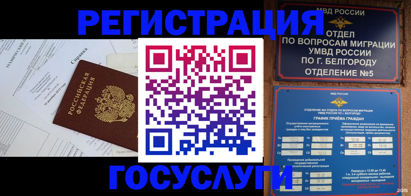 временная прописка в Новозыбкове