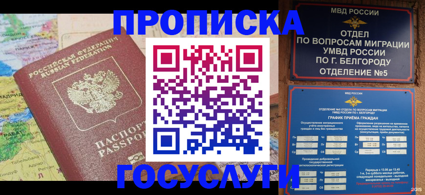 прописка регистрация в Новозыбкове
